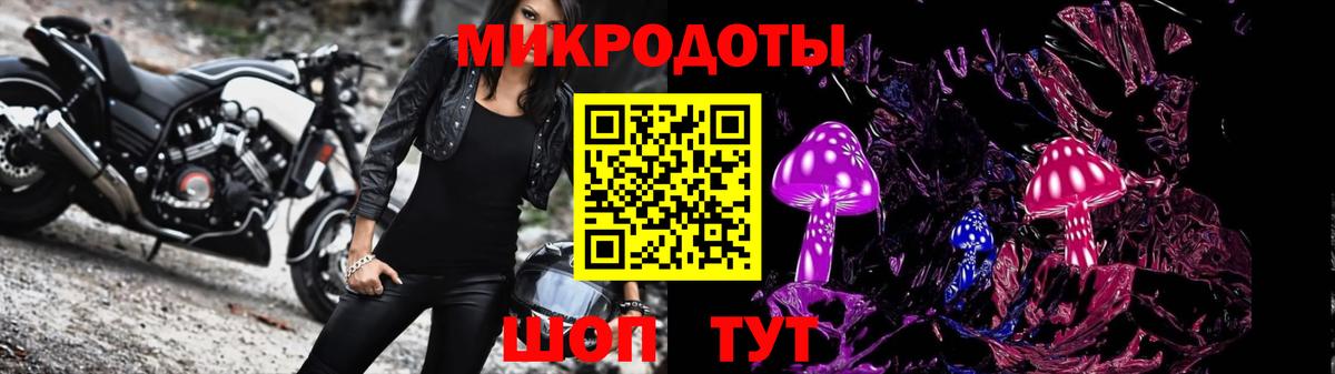 Псилоцибиновые грибы Psilocybine cubensis Верхняя Пышма
