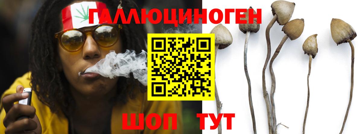 что такое наркотик  Псилоцибиновые грибы Magic Shrooms  Верхняя Пышма  Вход с VPN  Псилоцибиновые грибы мухоморы 